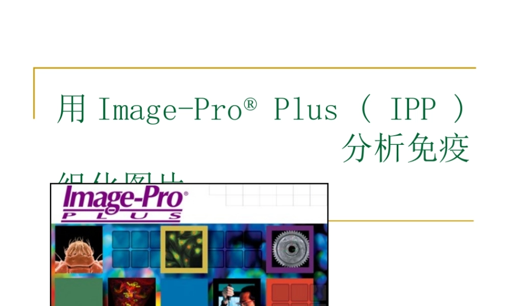 用ImagePro Plus 分析免疫组化图片.ppt