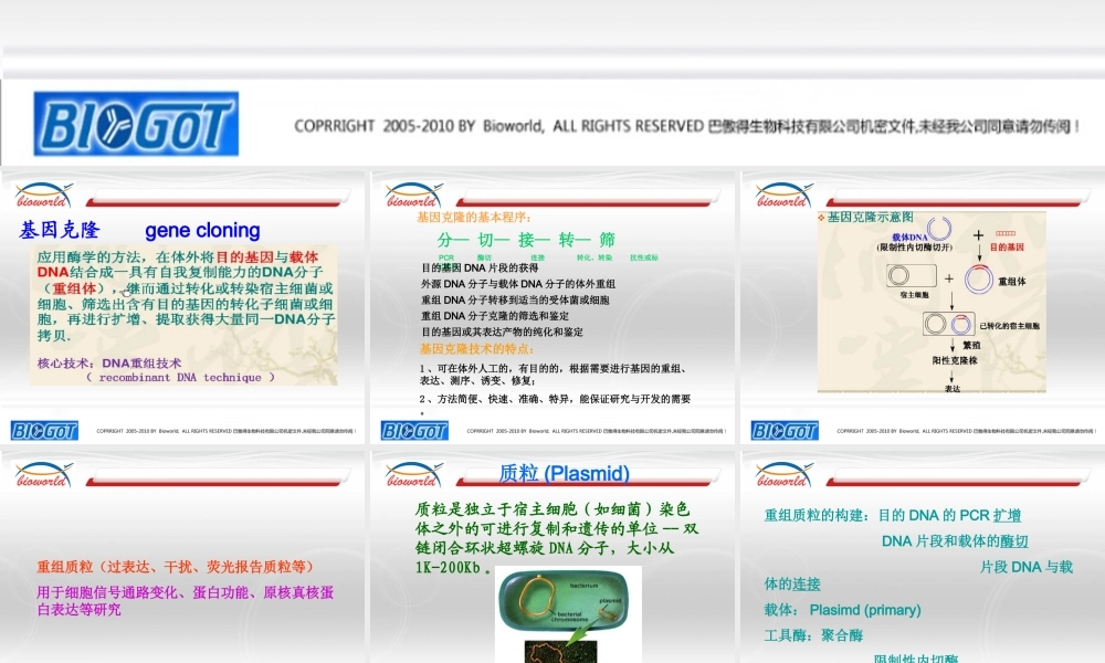 质粒构建技术.ppt