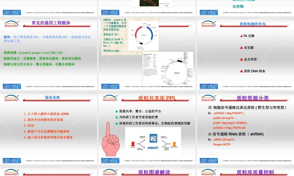 质粒构建技术.ppt