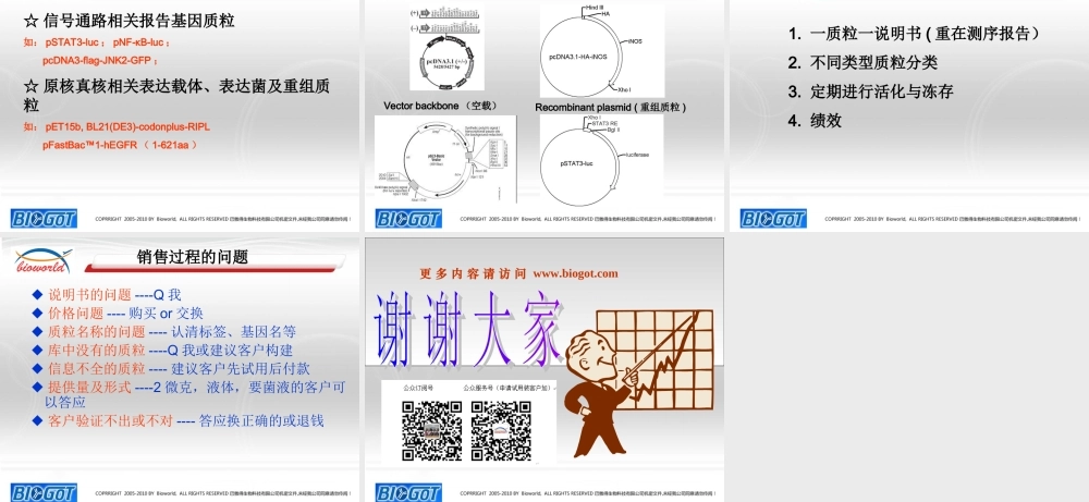 质粒构建技术.ppt