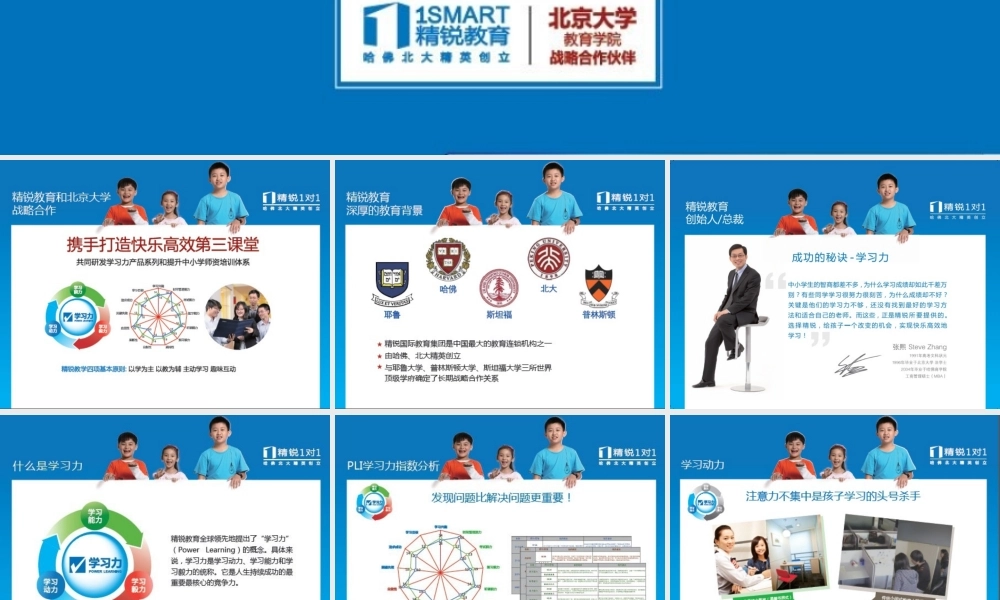 咨询手册（20140211）.ppt