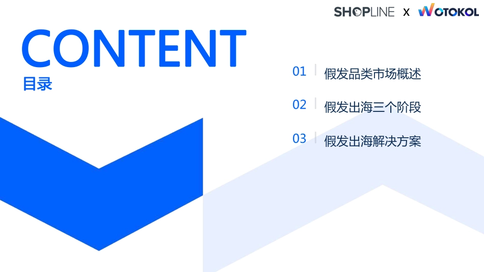 假发出海·独立站增长白皮书-2023.06-43页-WN6.pdf_第3页