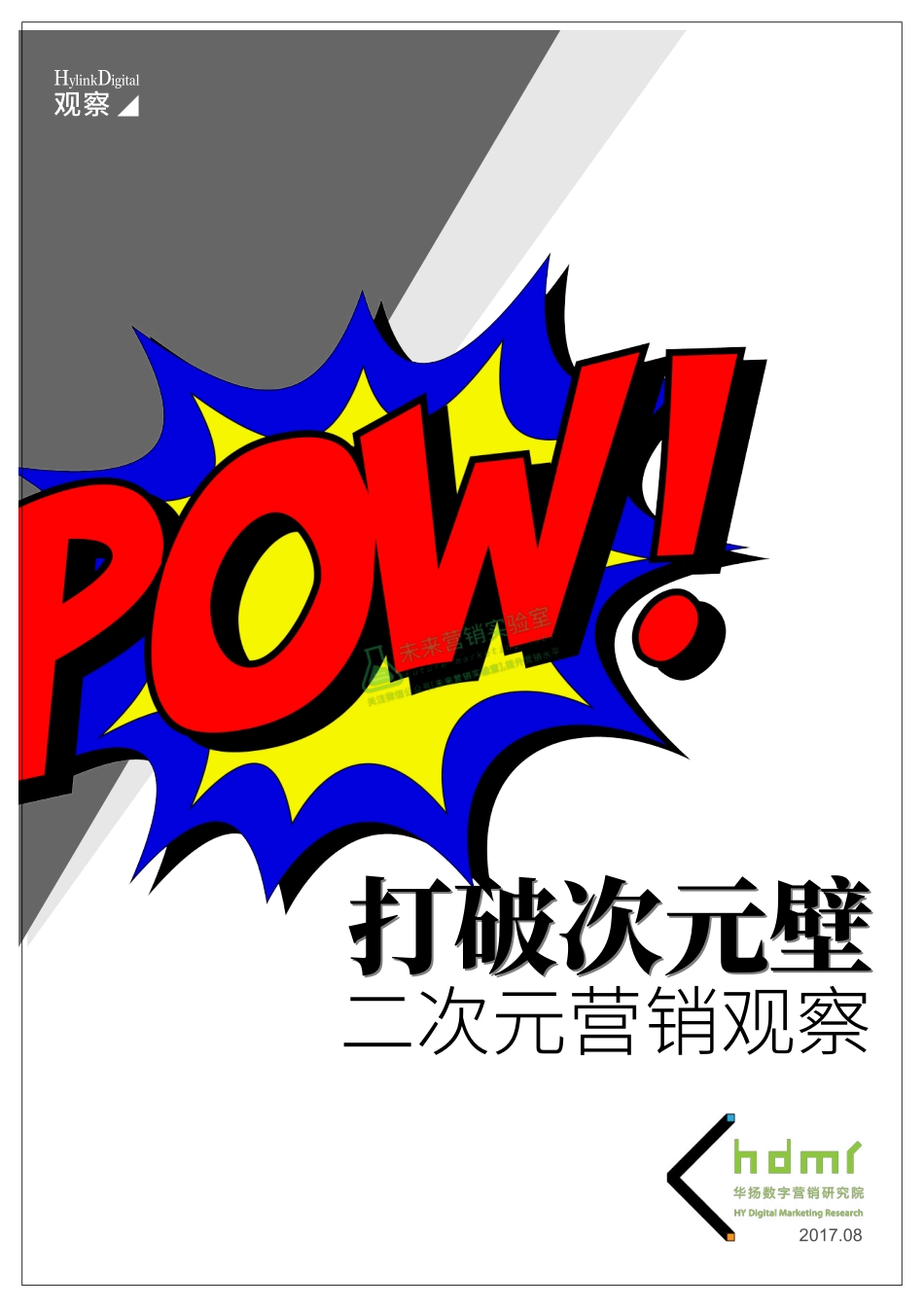 打破次元壁：二次元营销观察.pdf_第1页