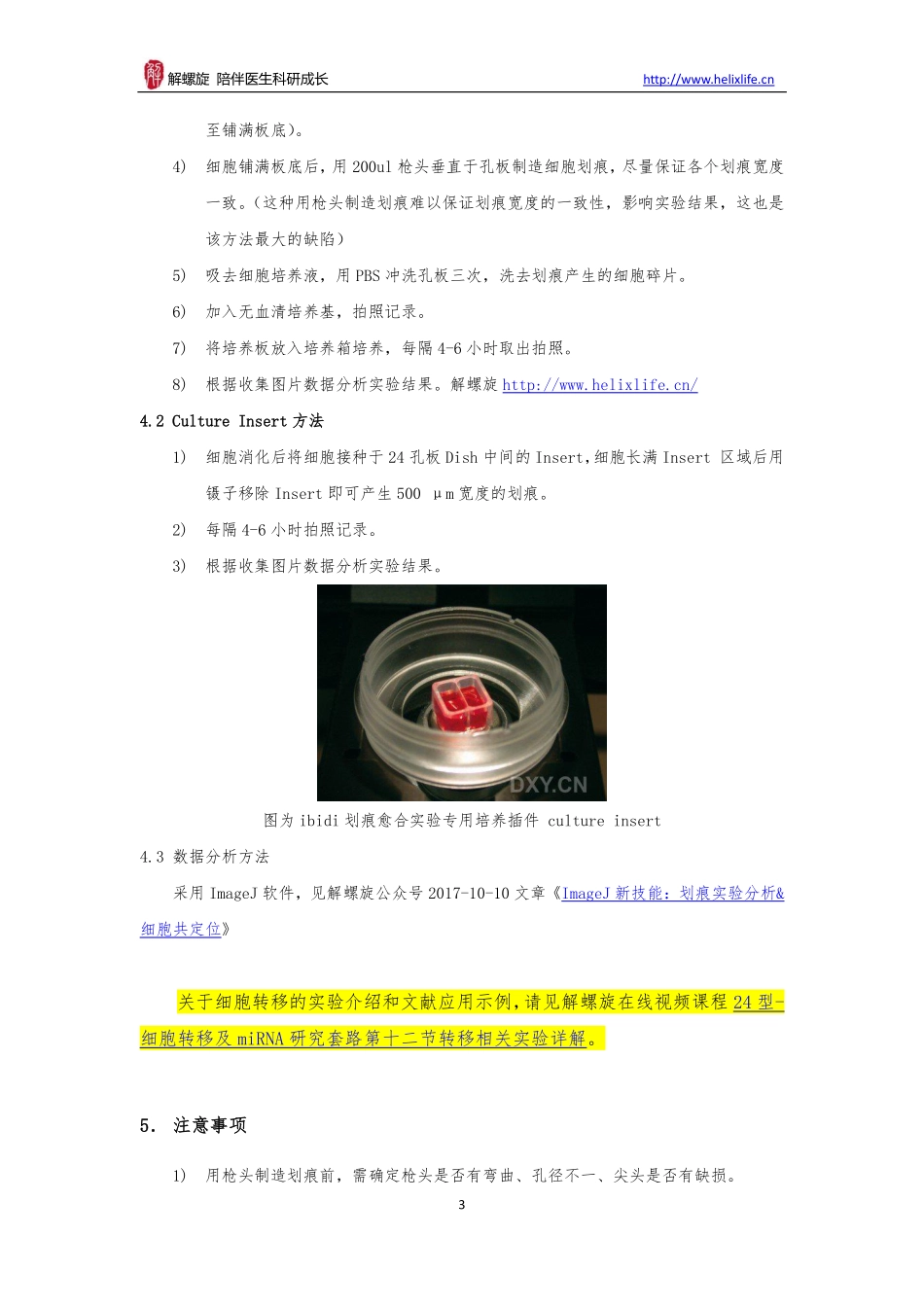 划痕愈合实验（细胞水平）.pdf_第3页