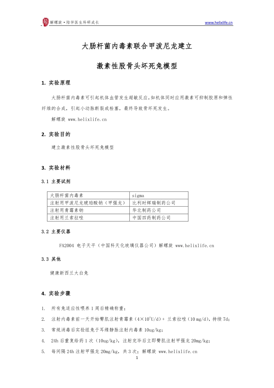 股骨头坏死（兔模型）(1).pdf_第1页