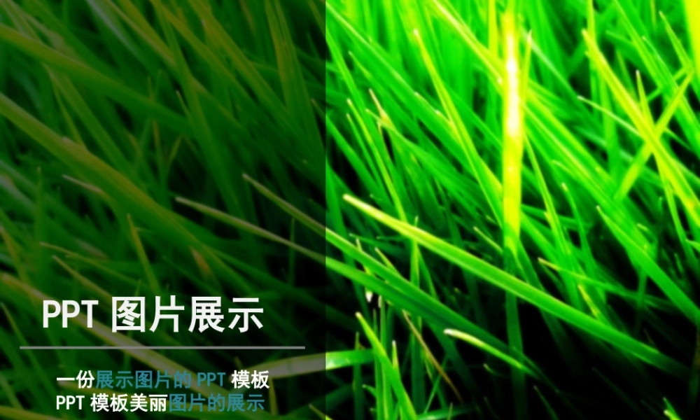 清新风格商务简约PPT模板.pptx