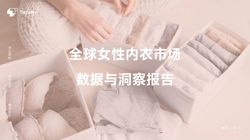全球女性内衣市场数据与洞察报告-Trendin-2023.09-14页-WN9.pdf_第1页