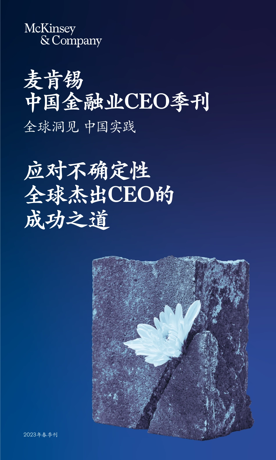 麦肯锡-2023季刊CEO特刊-0410精简版-140页-WN5.pdf_第1页