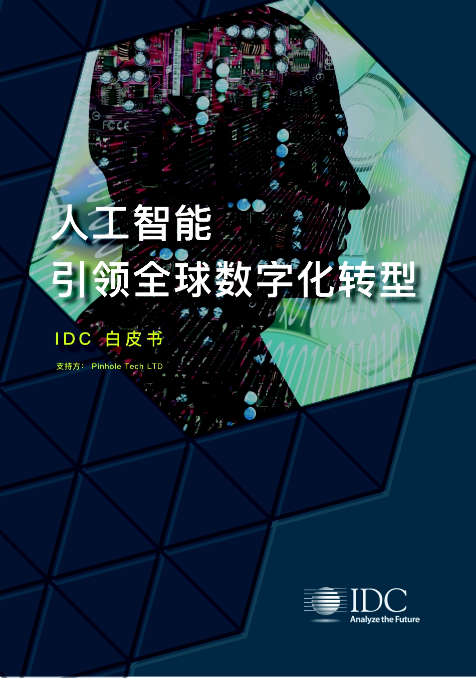 人工智能引领全球数字化转型.pdf_第1页