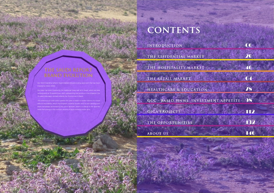 沙特市场报告2023-75页-WN9.pdf_第3页