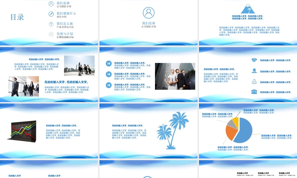 商业项目汇报.ppt