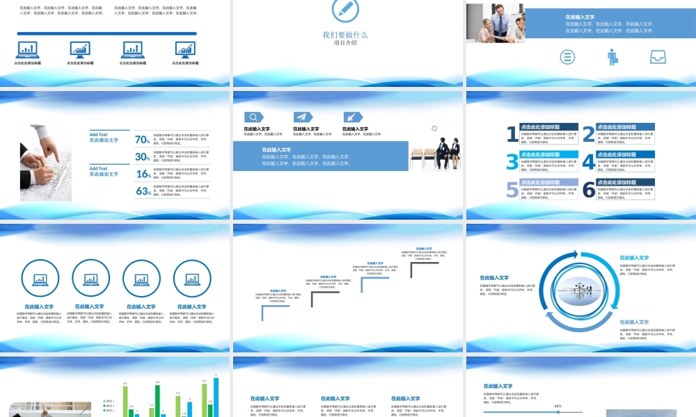 商业项目汇报.ppt