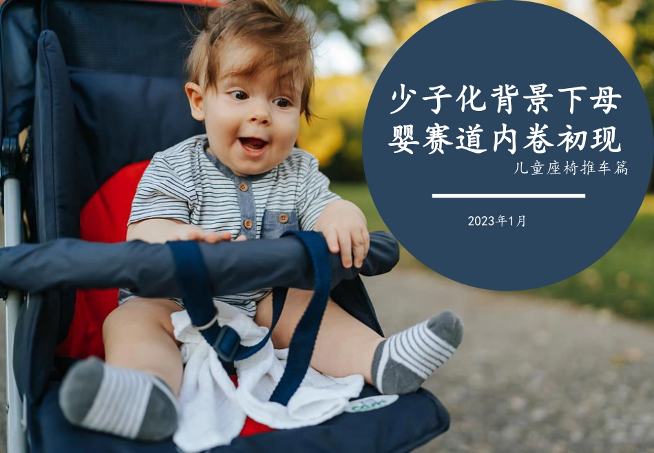 少子化背景下母婴赛道内卷初现-2023.06-23页-WN6.pdf_第1页
