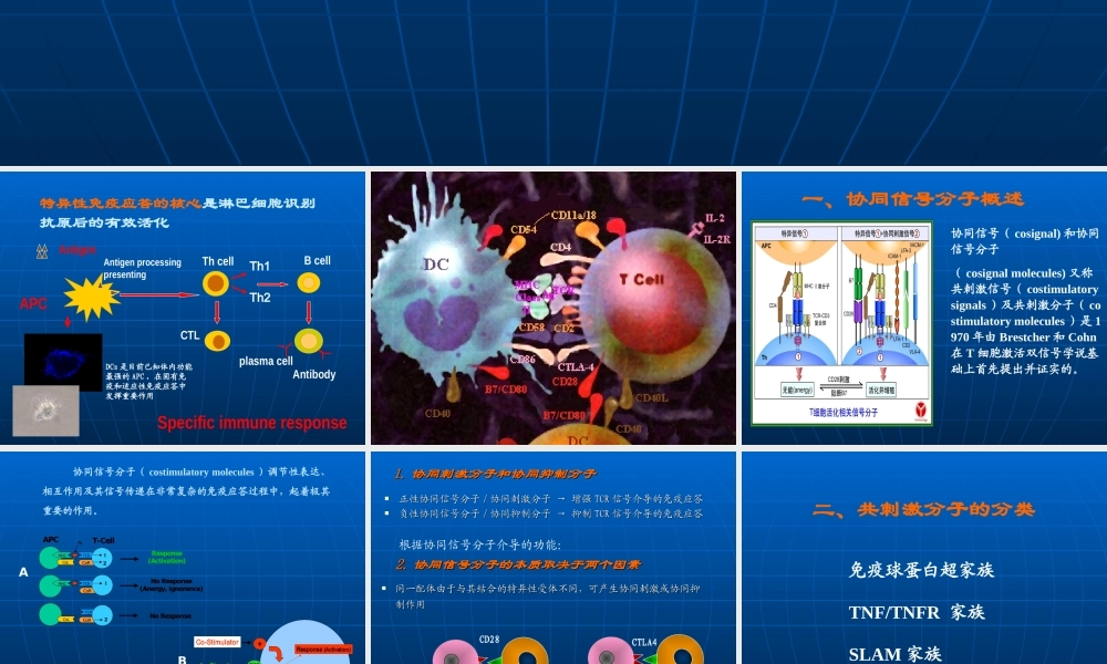 树突状细胞 －张学光(1).ppt