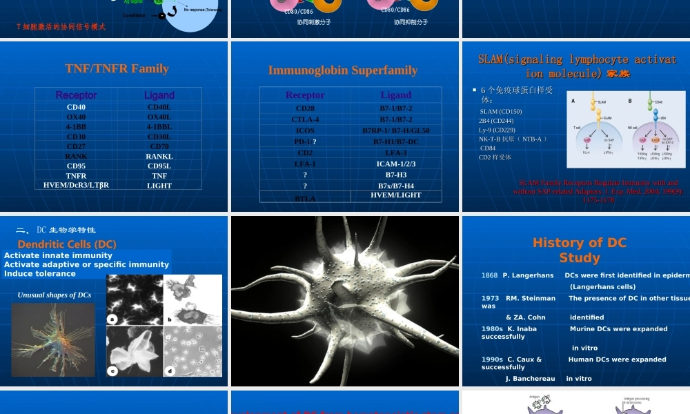 树突状细胞 －张学光(1).ppt