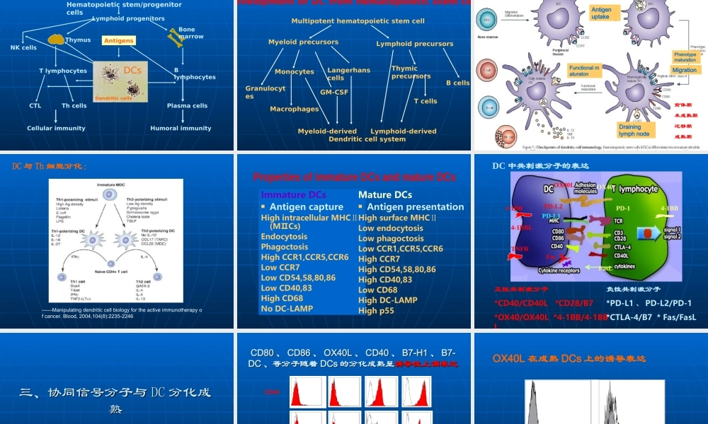 树突状细胞 －张学光(1).ppt