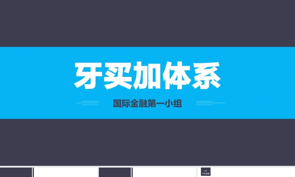 牙买加体系.pptx