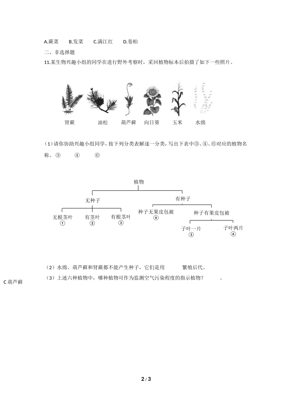 藻类、苔藓和蕨类植物 习题5 含答案.doc_第2页