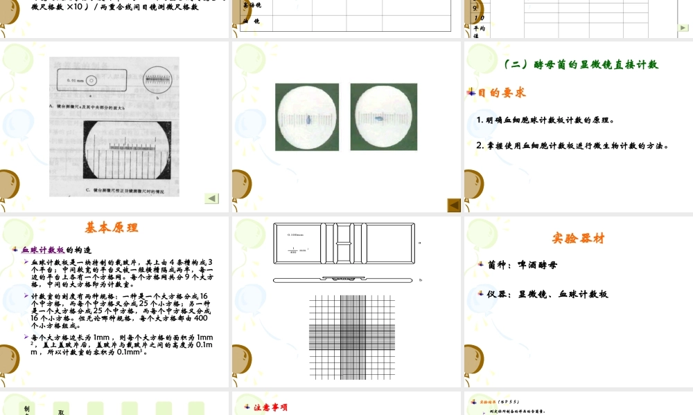 实验五、微生物大小的测定、显微镜直接计数法.ppt