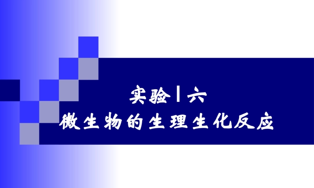 微生物的生理生化反应.ppt