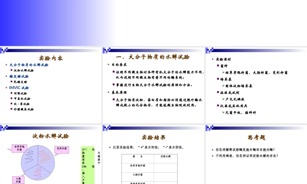 微生物的生理生化反应.ppt