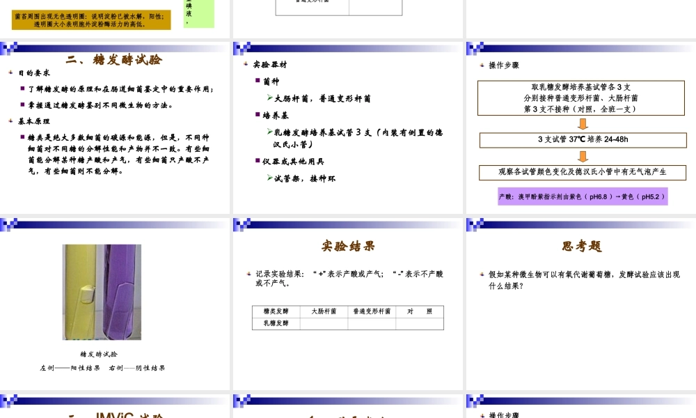 微生物的生理生化反应.ppt