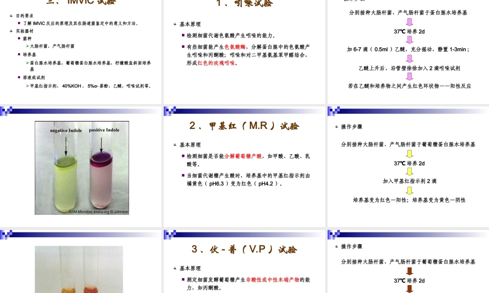 微生物的生理生化反应.ppt