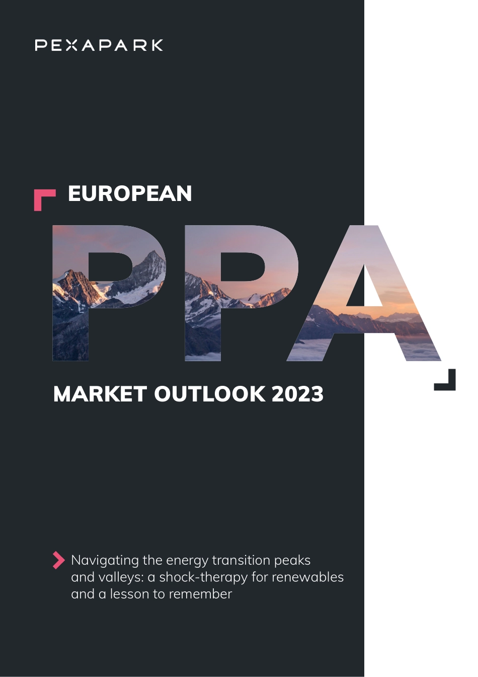 欧洲PPA市场展望-50页-WN6.pdf_第1页