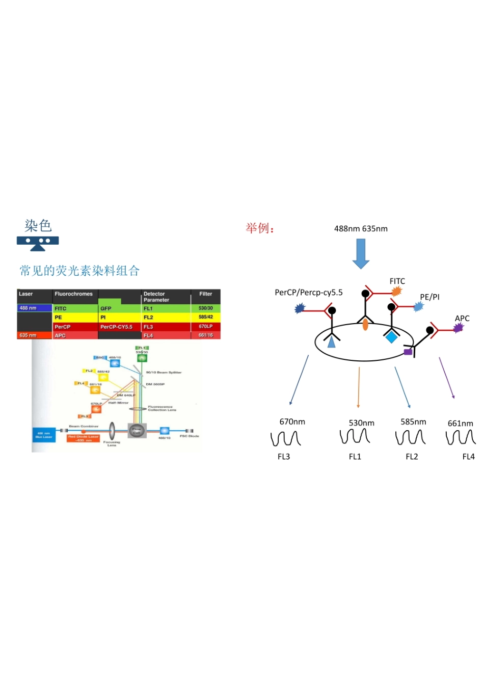 流式细胞术详细教程.pdf_第3页