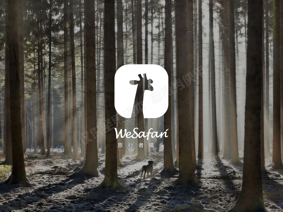 旅行者镜头-旅行者微视频（图片）百科、短视频攻略影像库.商业计划书.pdf_第1页