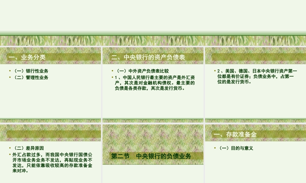 中央银行业务.ppt