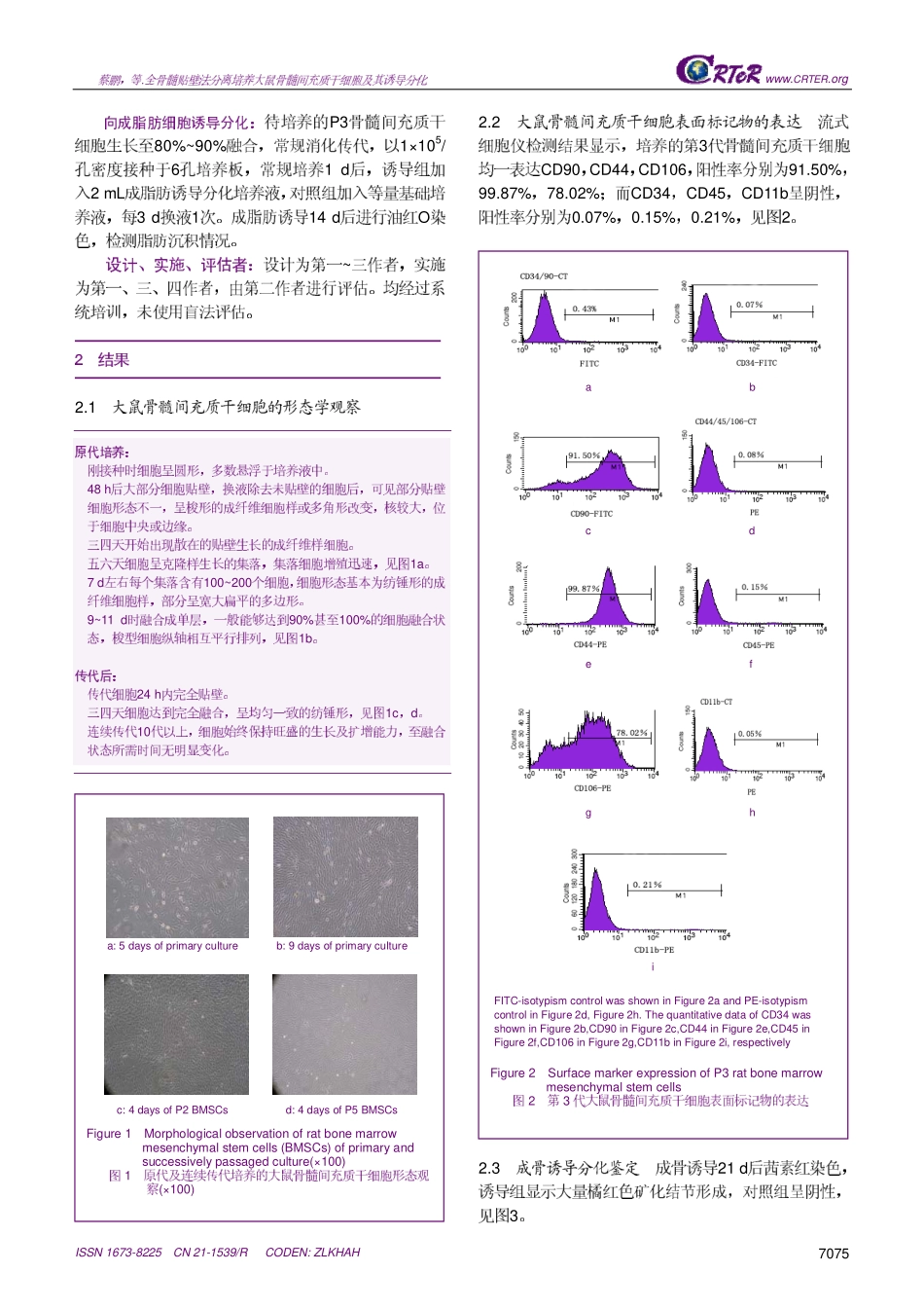 全骨髓贴壁法分离培养大鼠MSCs及其诱导分化(1).pdf_第3页