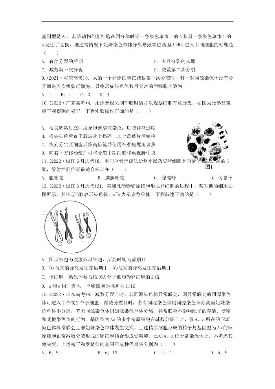 专题07有丝分裂和减数分裂（原卷版） .docx_第3页