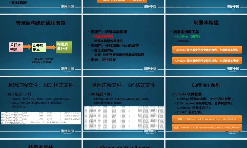 转录组实战讲解之转录本构建和长非编码RNA鉴定(1).pptx