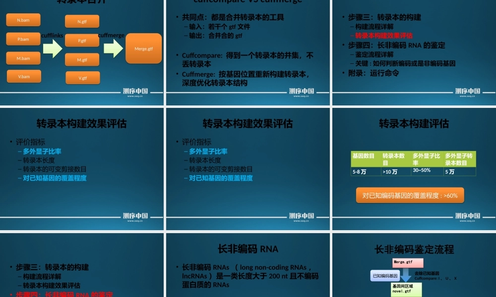 转录组实战讲解之转录本构建和长非编码RNA鉴定(1).pptx