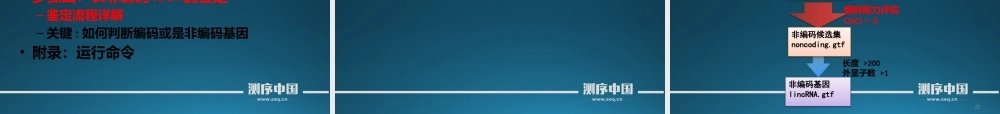 转录组实战讲解之转录本构建和长非编码RNA鉴定(1).pptx