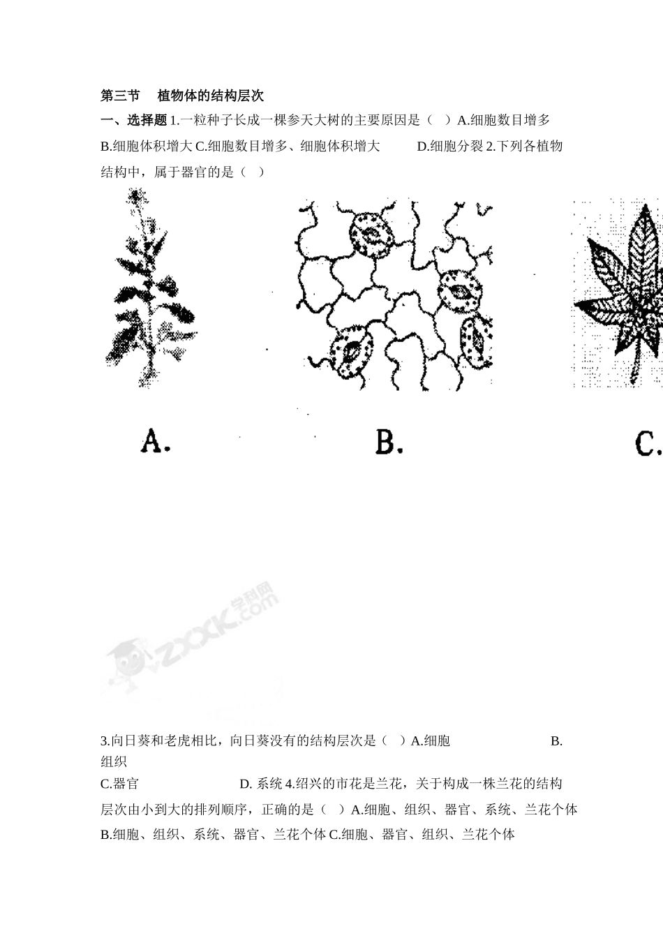 植物体的结构层次 习题1 含答案.doc_第1页