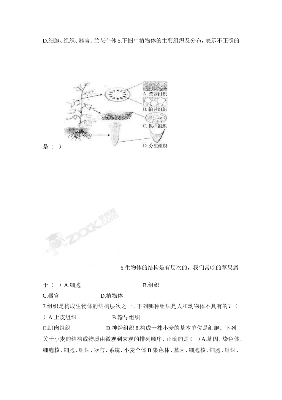 植物体的结构层次 习题1 含答案.doc_第2页