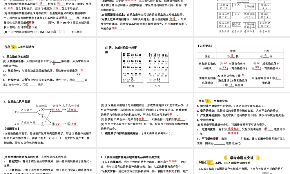 第2讲 生物的遗传和变异.ppt
