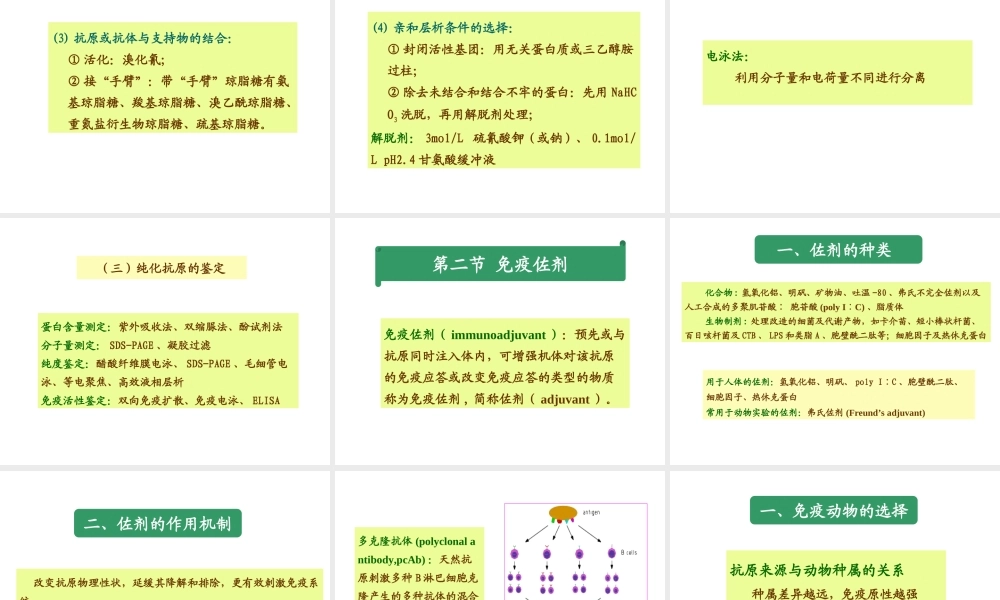 第03章免疫原和抗血清的制备多媒体(1).ppt