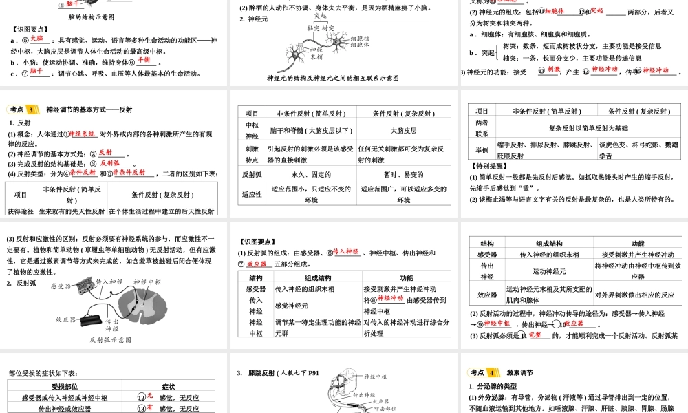 第7讲人体生命活动的调节与人类活动对生物圈的影响ssj改版.ppt