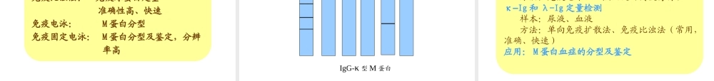 第18章体液免疫球蛋白测定(1).ppt