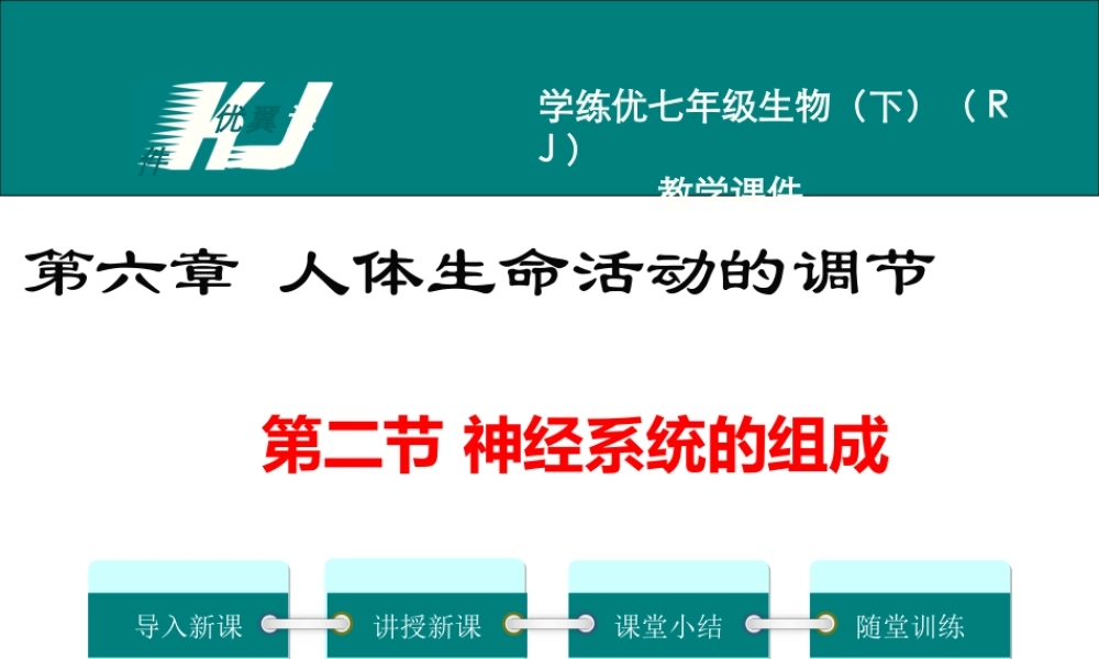 第二节 神经系统的组成.ppt