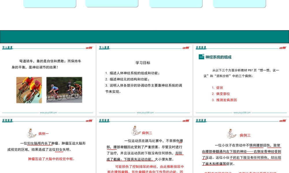 第二节 神经系统的组成.ppt