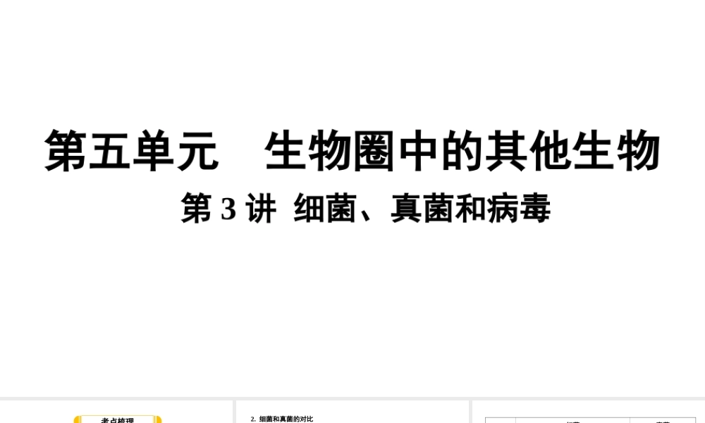 第3讲细菌、真菌和病毒.ppt