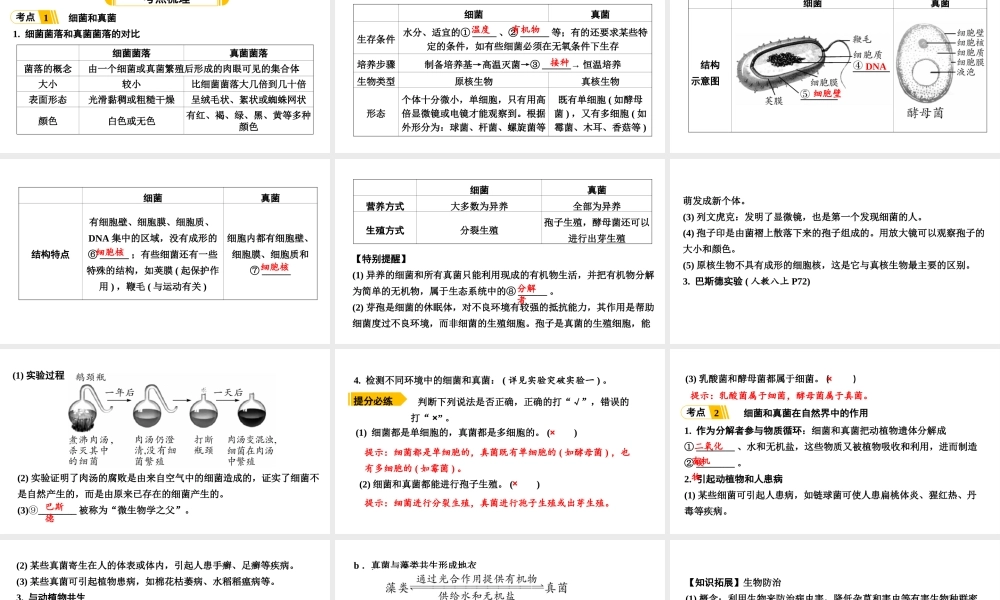 第3讲细菌、真菌和病毒.ppt