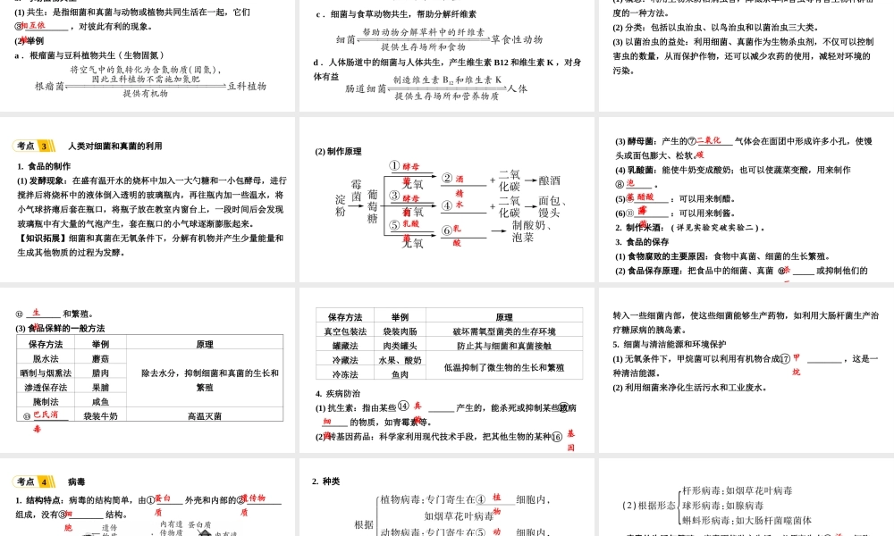 第3讲细菌、真菌和病毒.ppt