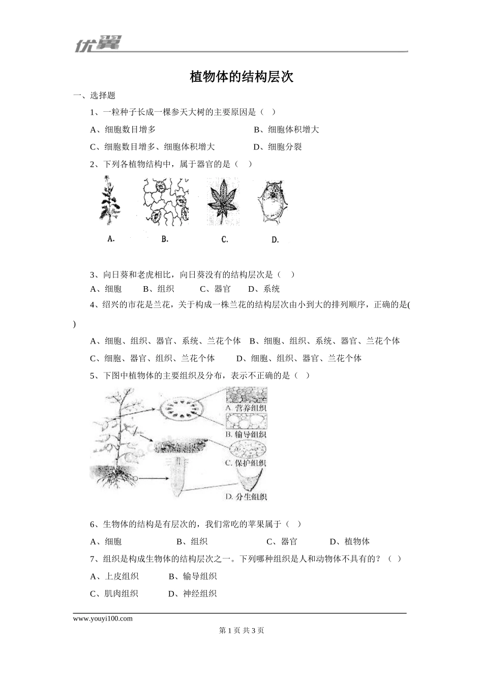 第三节植物体的结构层次课堂训练.doc_第1页