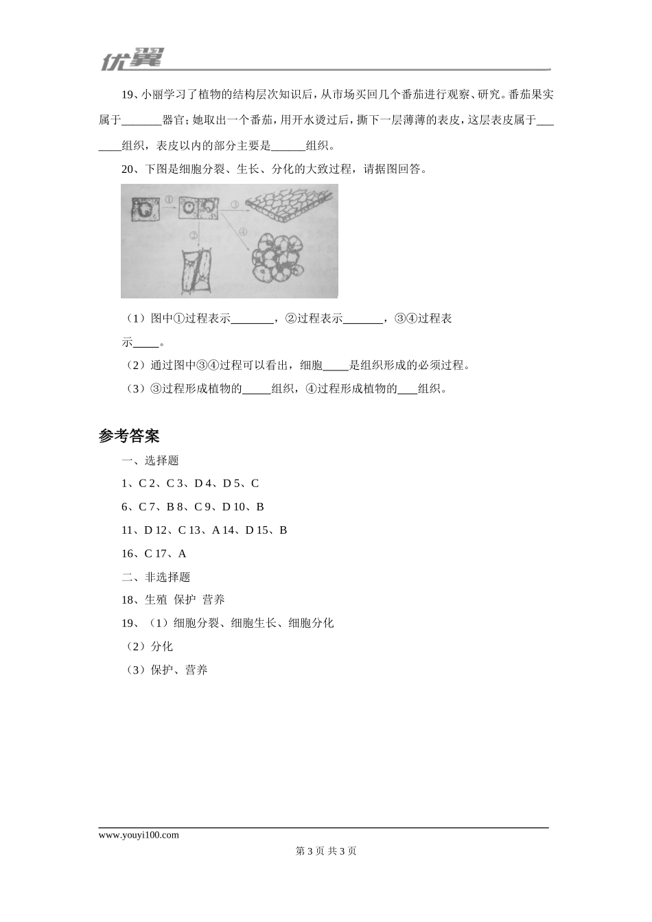 第三节植物体的结构层次课堂训练.doc_第3页