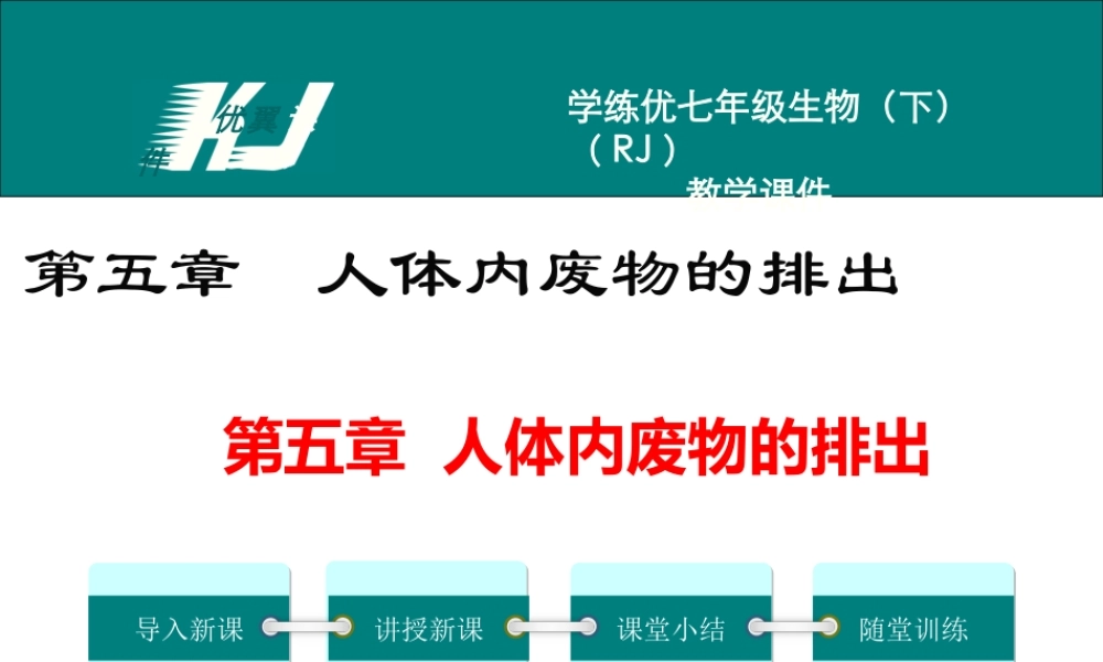 第五章 人体内废物的排出.ppt